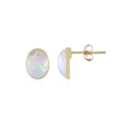 Welo-Opal-Goldohrringe