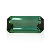 Grüner Turmalin 16,98 ct