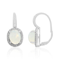 Welo-Opal-Silberohrringe