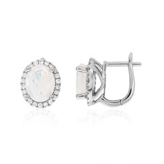 Welo-Opal-Platinohrringe