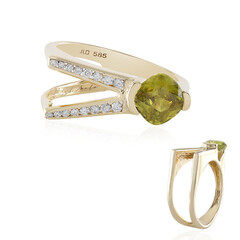 Sphen-Goldring (de Melo)