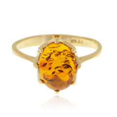 Baltischer Bernstein-Goldring