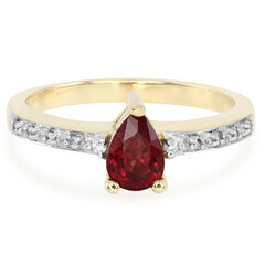 Malawi-Rubin-Goldring