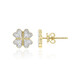 SI1 (G) Brillant-Goldohrringe (Annette)