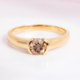 VS1 Argyle-Rose de France-Brillant-Goldring (Annette)