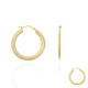 Goldohrringe