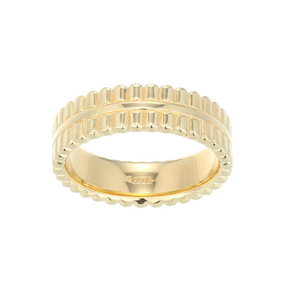 Silberring