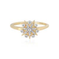 I2 (I) Diamant-Silberring