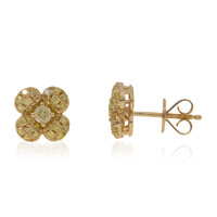 Gelber SI2 Diamant-Goldohrringe (CIRARI)