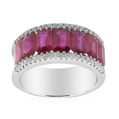 AAA-Mosambik-Rubin-Goldring (CIRARI)