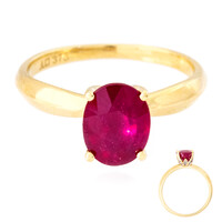 Madagaskar-Rubin-Goldring (de Melo)