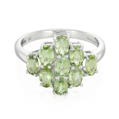 Paraiba-Turmalin-Silberring