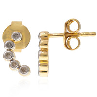 I2 (I) Diamant-Silberohrringe