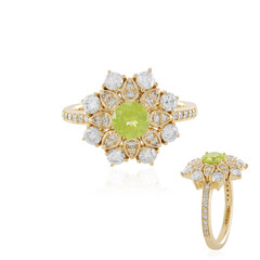 Sphen-Goldring (AMAYANI)