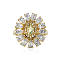 Oregon-Sonnenstein-Goldring