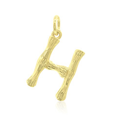 Silberanhänger H