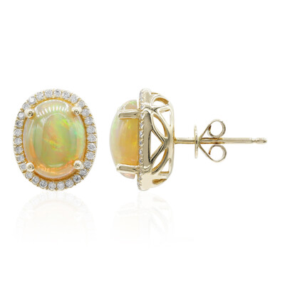AAA-Welo-Opal-Goldohrringe (CIRARI)