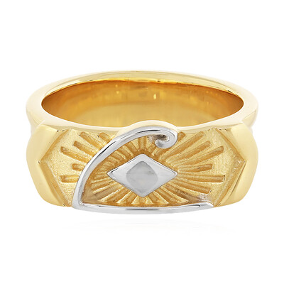 Silberring