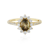 Oregon-Sonnenstein-Goldring (AMAYANI)