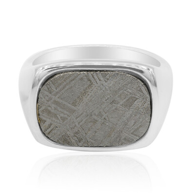 Eisen-Meteorit-Silberring