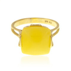 Baltischer Bernstein-Goldring