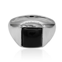 Schwarzer Onyx-Silberring