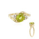 Sphen-Goldring (AMAYANI)