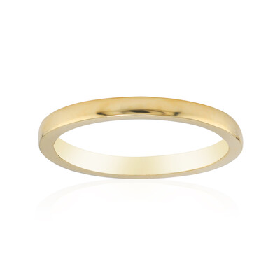 Silberring
