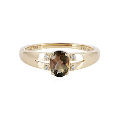 Oregon-Sonnenstein-Goldring (AMAYANI)