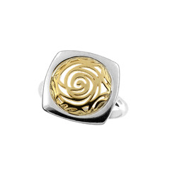 Silberring