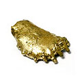 Goldenes Jubil&auml;um